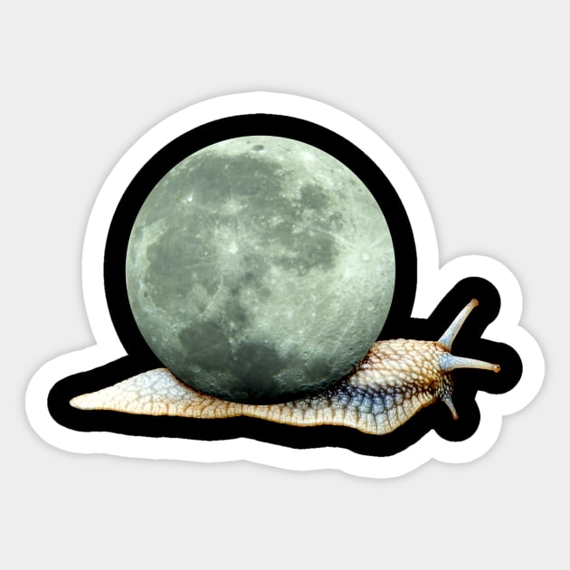 Lunarsnail Sticker by Sifs Store